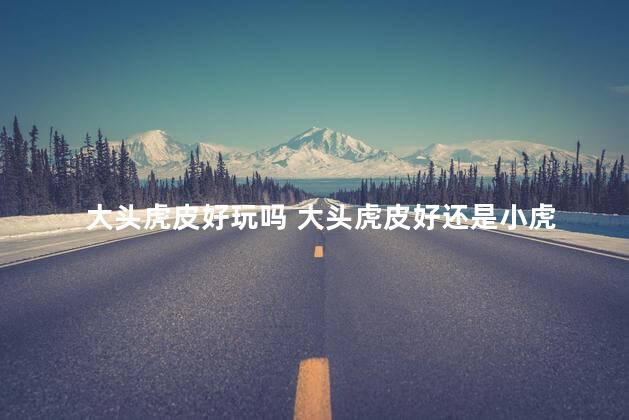 大头虎皮好玩吗 大头虎皮好还是小虎